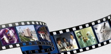 專業企業文化宣傳，點亮臨安企業風采——宏人影視免費策劃、攝像及制作服務